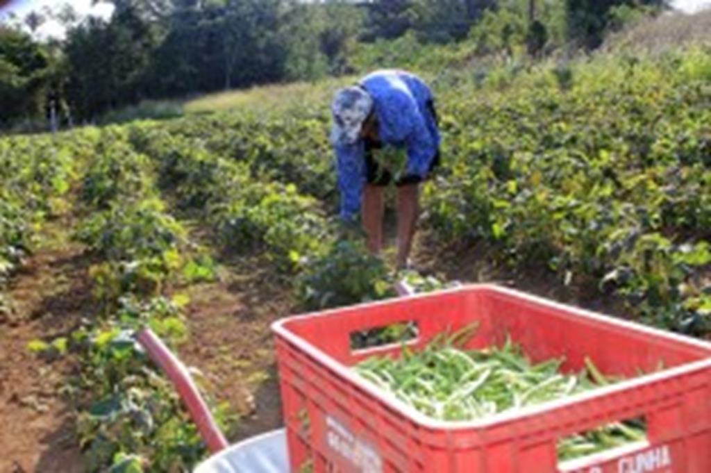 INCRA inicia vistoria em assentamentos da Reforma Agrária em Campo Verde