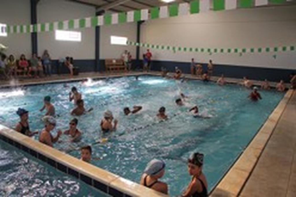 Escolinha democratiza acesso a aulas de natação