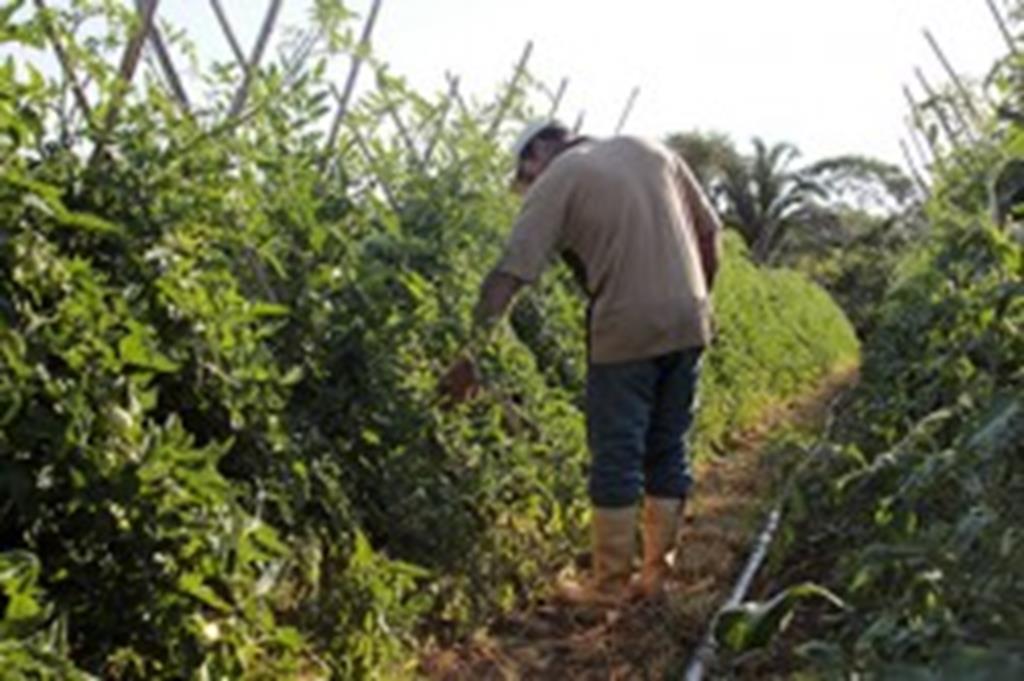 INCRA homologa lotes em Assentamentos da Reforma Agrária