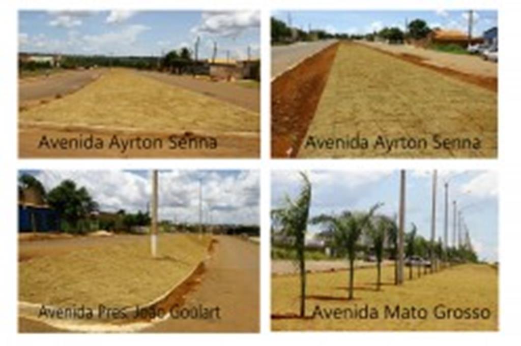 Plantio de grama é feito nas avenidas Ayrton Senna e Presidente João Goulart