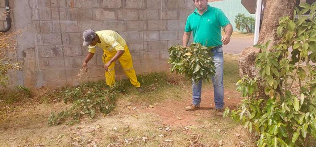 Prefeitura de Campo Verde elimina plantas “guaxas” em beira de rodovias