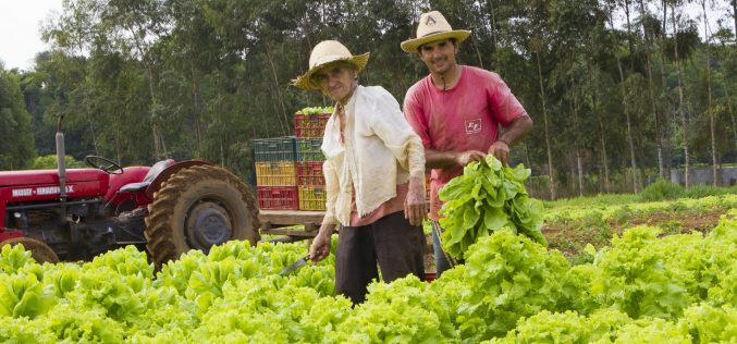 Projeto Verdinho vai fomentar agricultura familiar em Campo Verde